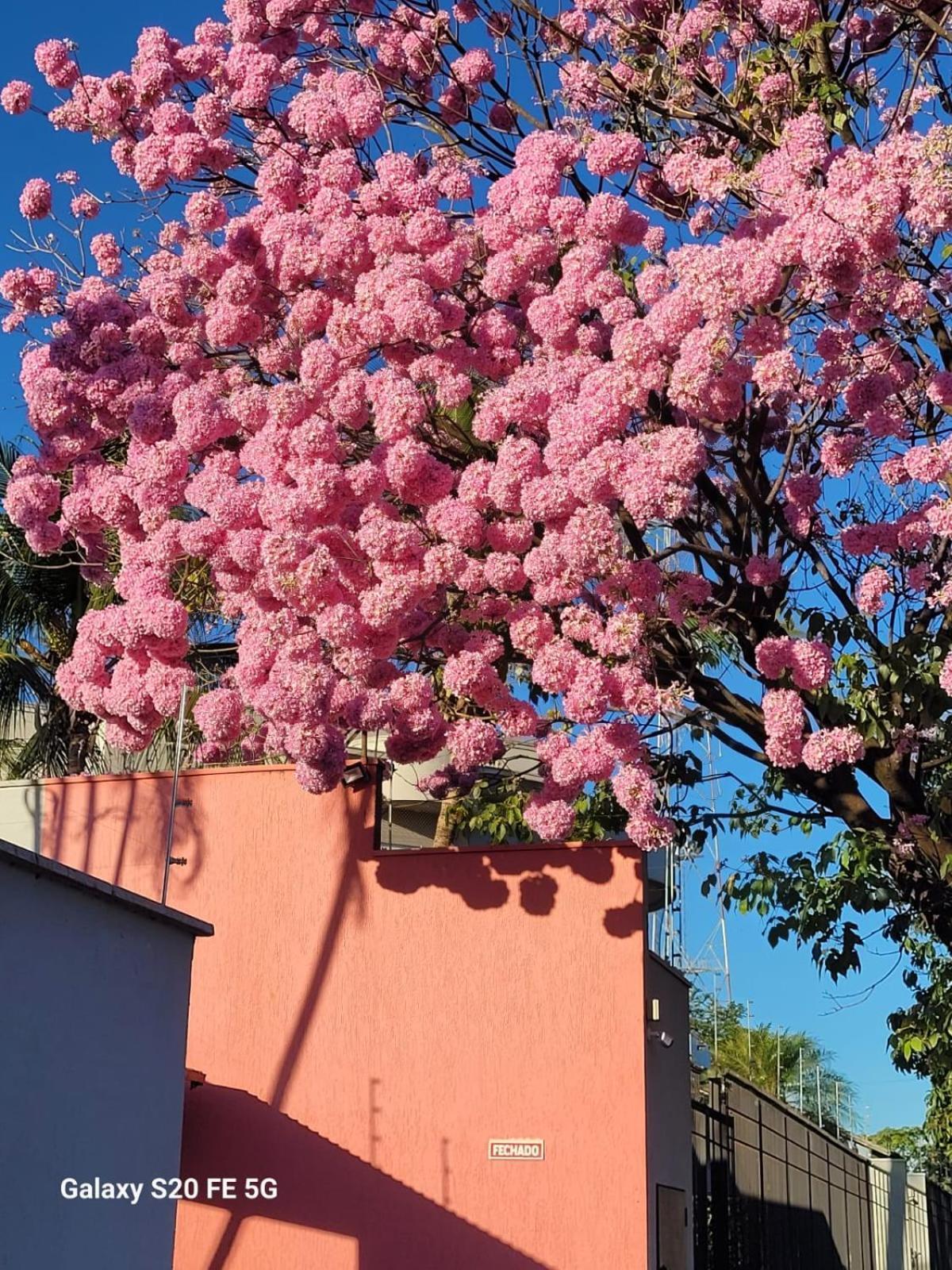 Homestay Caramelo Hospedaria, Localizacao Privilegiada Com Conforto E Privacidade